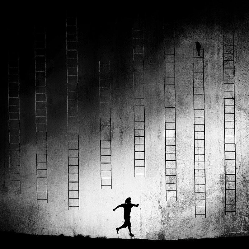 concept, conceptual, fine art, milad safabakhsh, ladder, bird, human, blackandwhite Grace for drowning BW фото превью