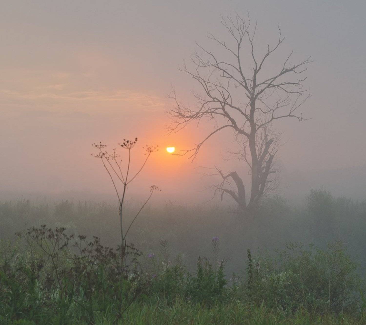 , Михаил Агеев