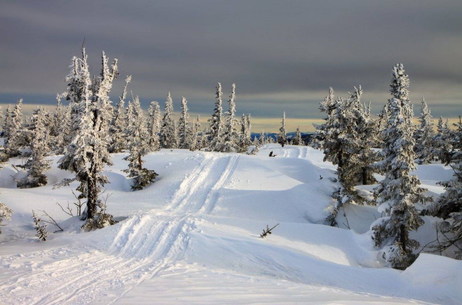 шерегеш, горная шория, снег, зима, Галина Хвостенко