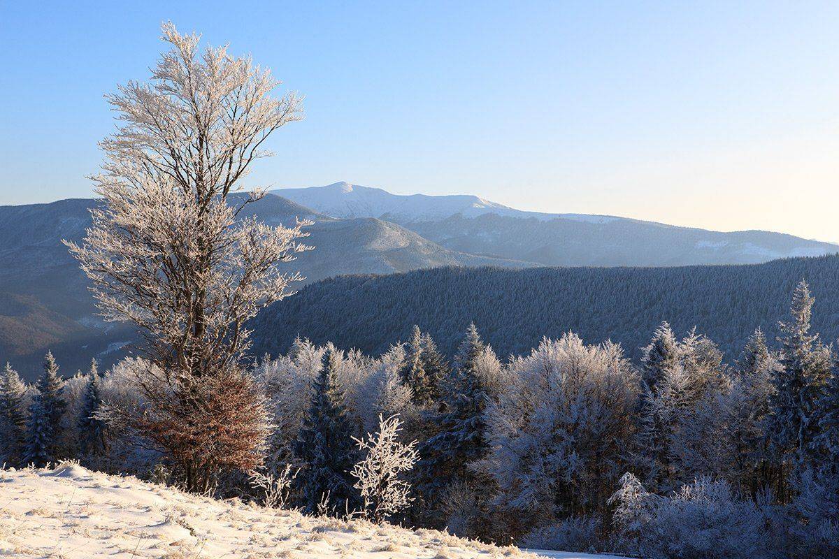 , Виталий Ра