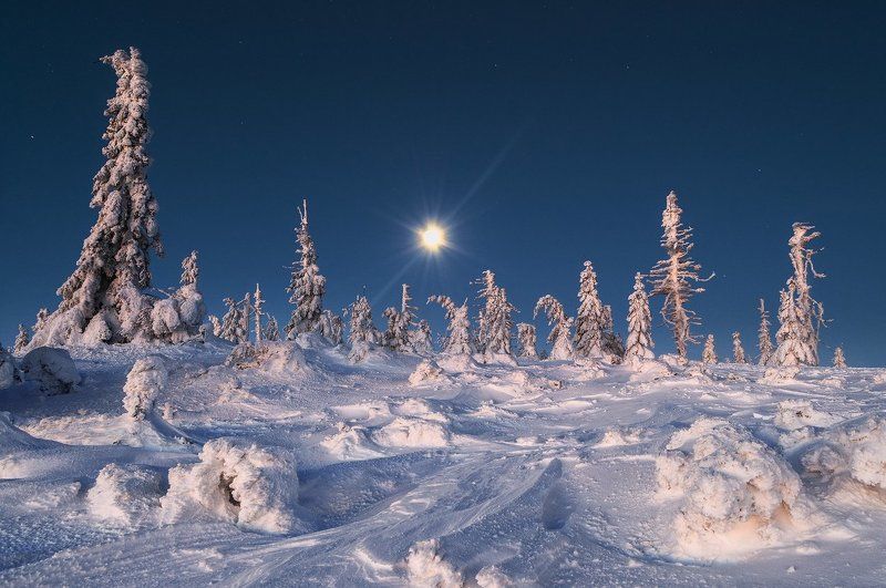 Winter фото превью