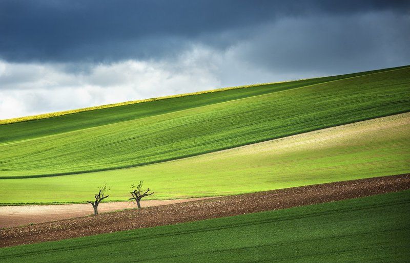 Twins фото превью