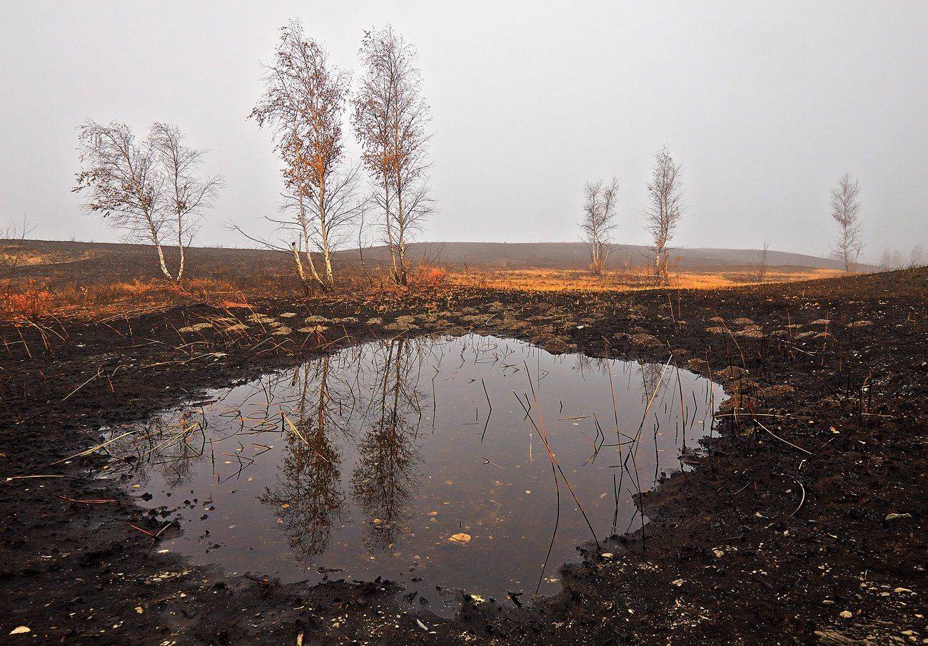 , Качурин Алексей