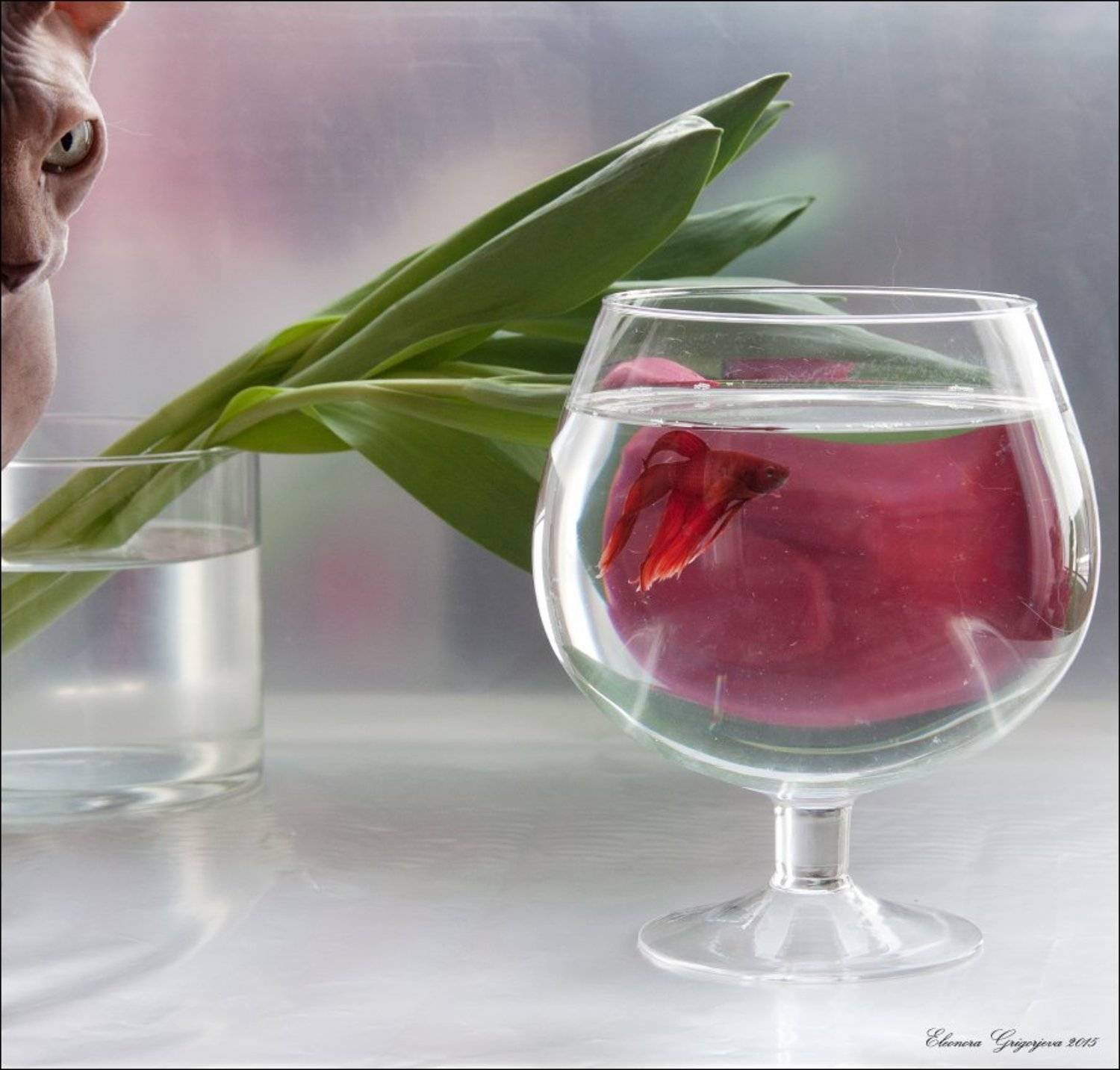 , Eleonora Grigorjeva