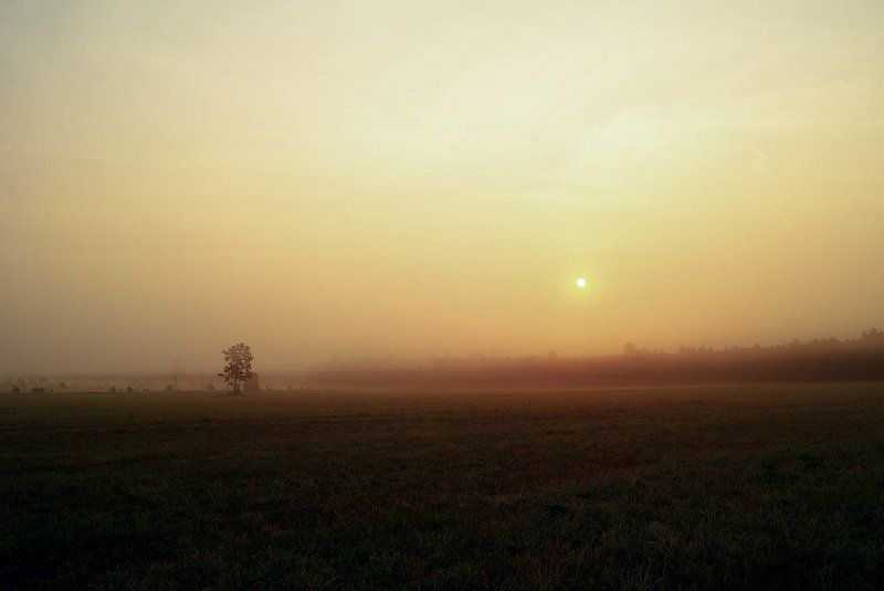 Встречи на рассвете фото превью