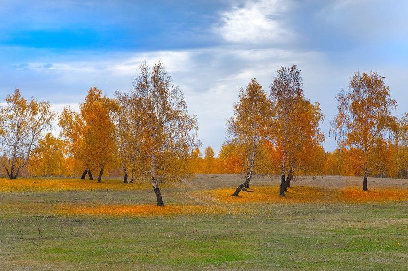 Краски осени фото превью