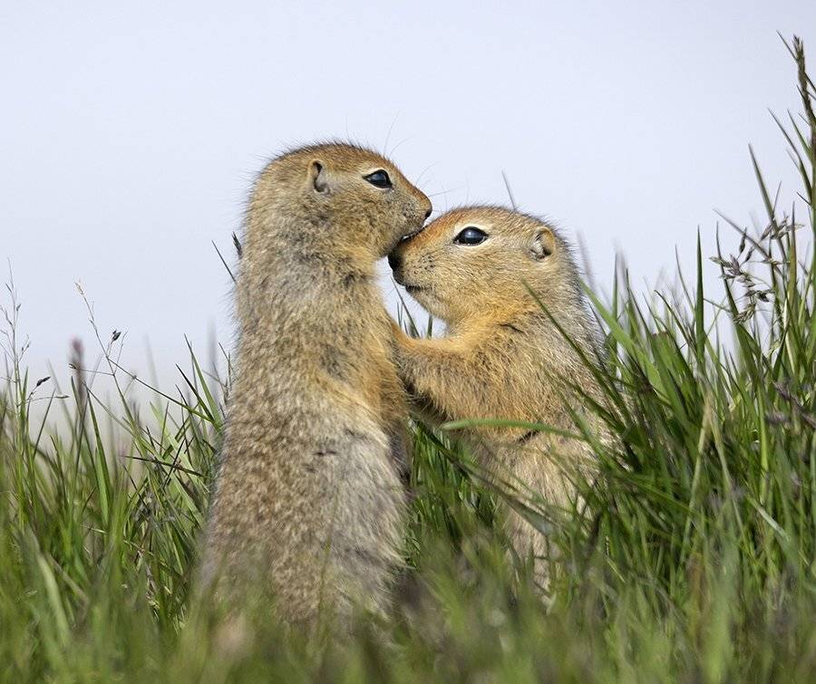, Максим Деминов