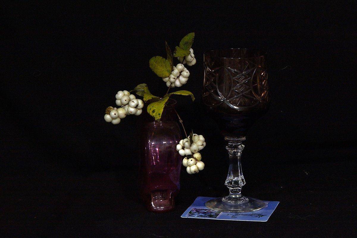 , Николаев Владимир