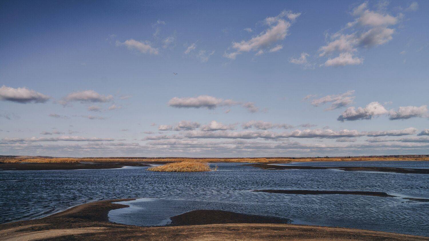 , Юрий Вертиков