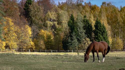 Свобода лишь иллюзия