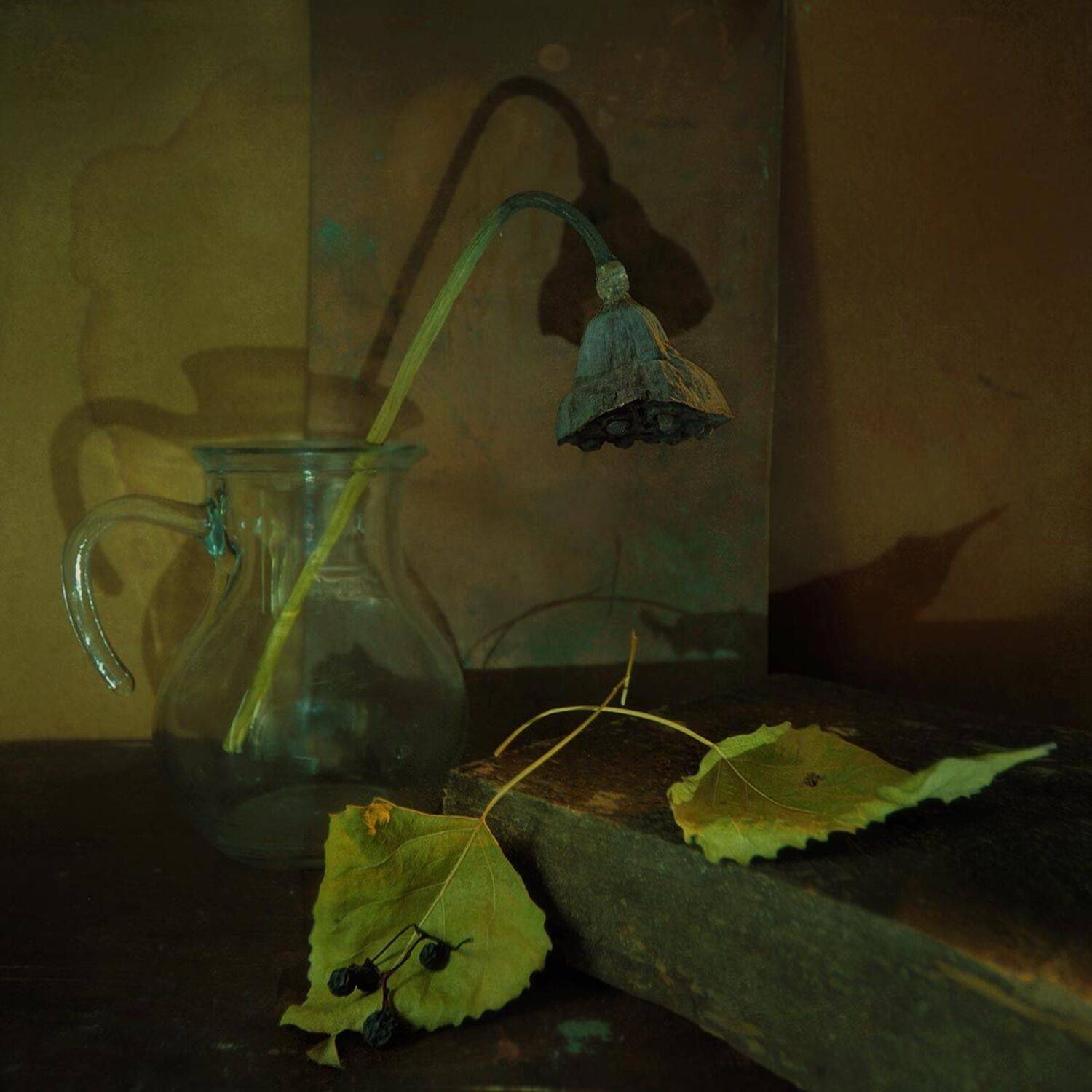 , Ирина Данилова