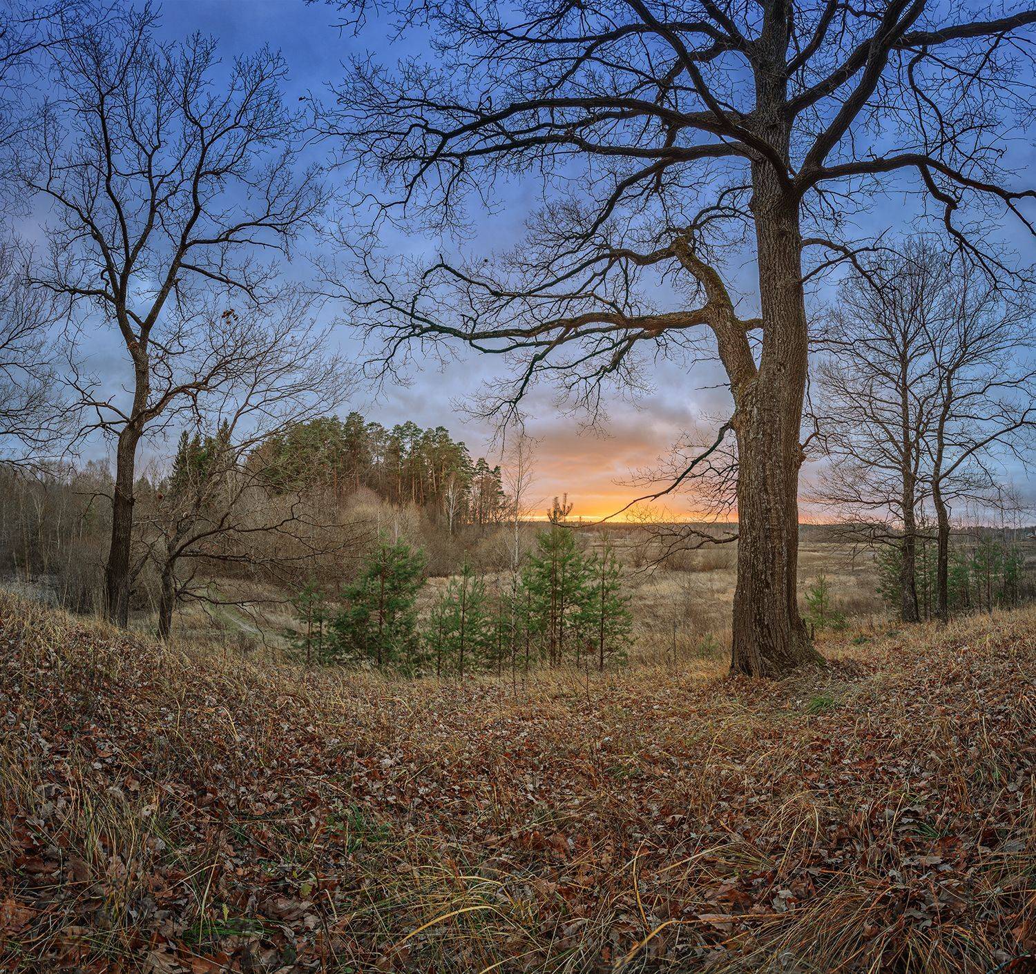 , Андреев Николай