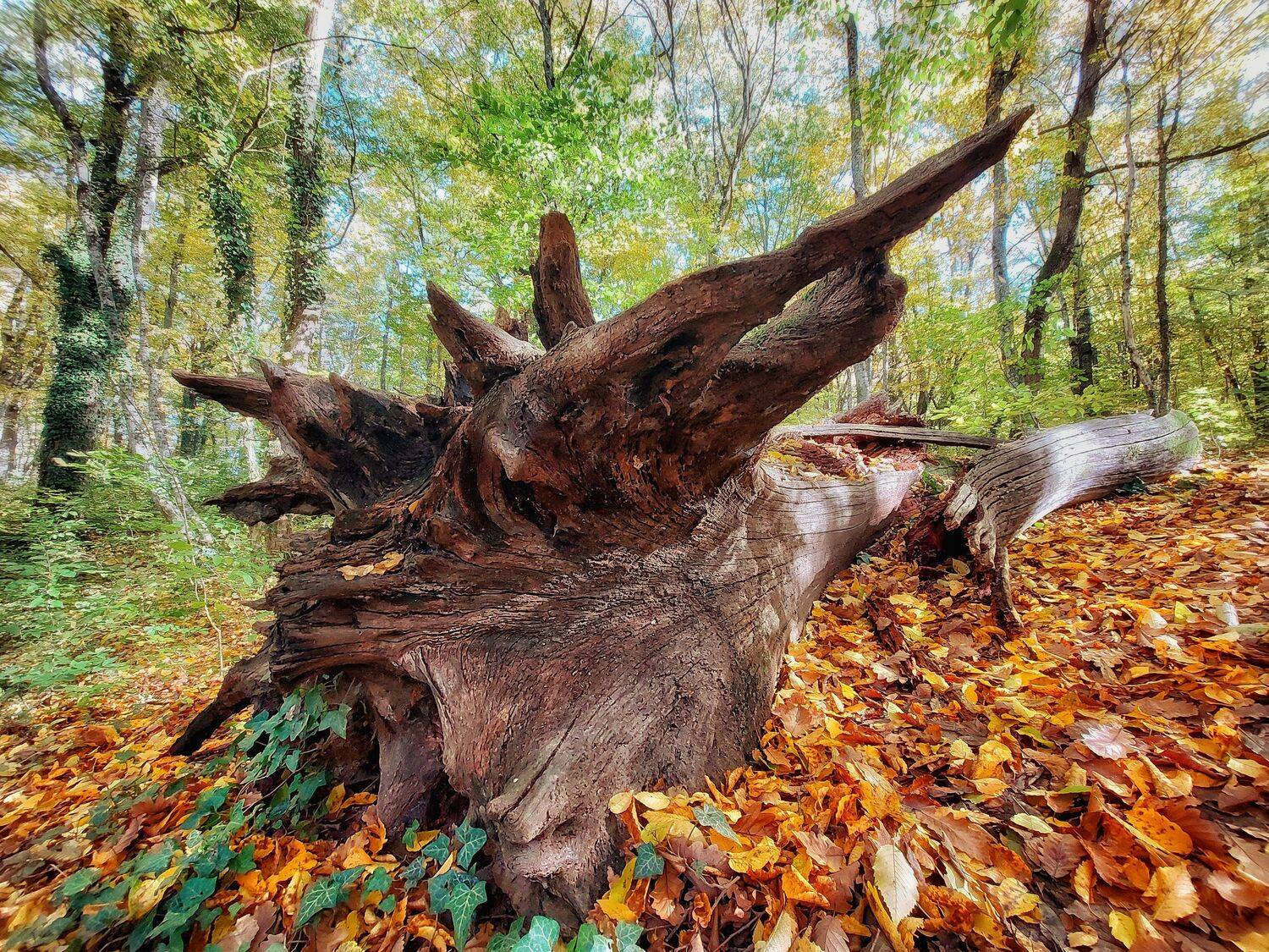 , Павел Сагайдак