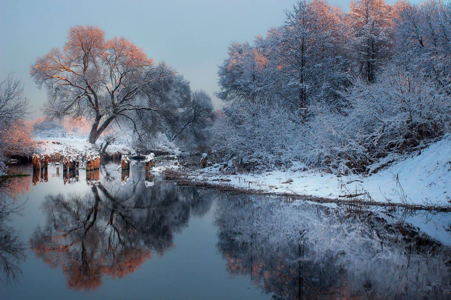 , Игорь Денисов
