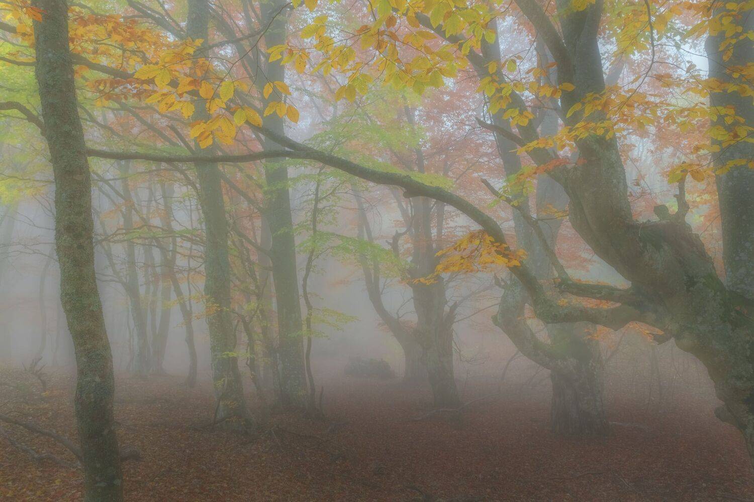 Фототуры с Владимиром Рябковым,#topnature #russpasibo #magic_shots #lovelyRussia #sunset_vision #exclusive_sky  #exclusive_shots #loves_russia2 #photoarena_nature #nature_sultans #nature_perfection #rsa_sky #rsa_sunset #photorussia #rsa_naturepics #sunset, Владимир Рябков