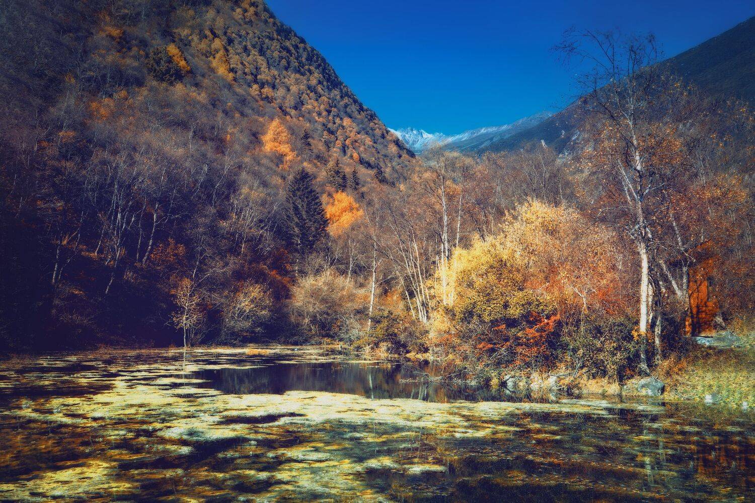 高原深秋, 吴 微雨墨烟鸿