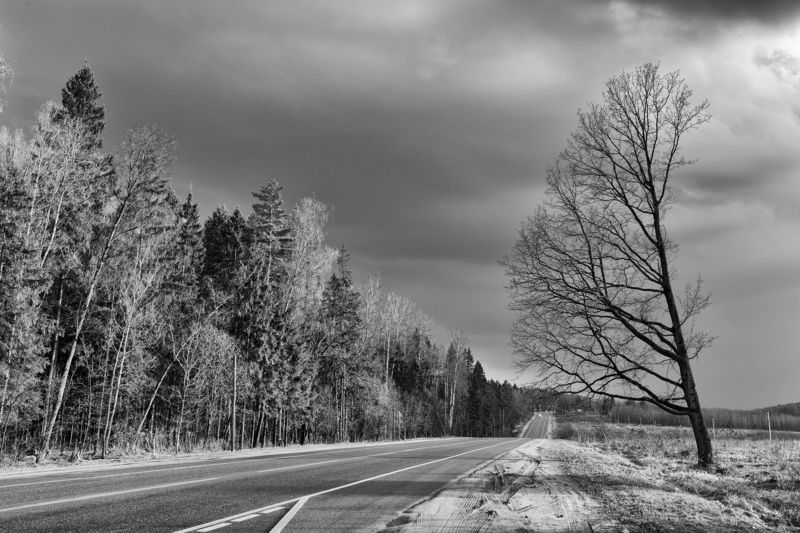 Дуб, одиночество, диспропорция, пейзаж, одинокий Одинокий фото превью