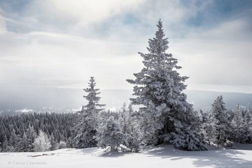Хребет Зюраткуль