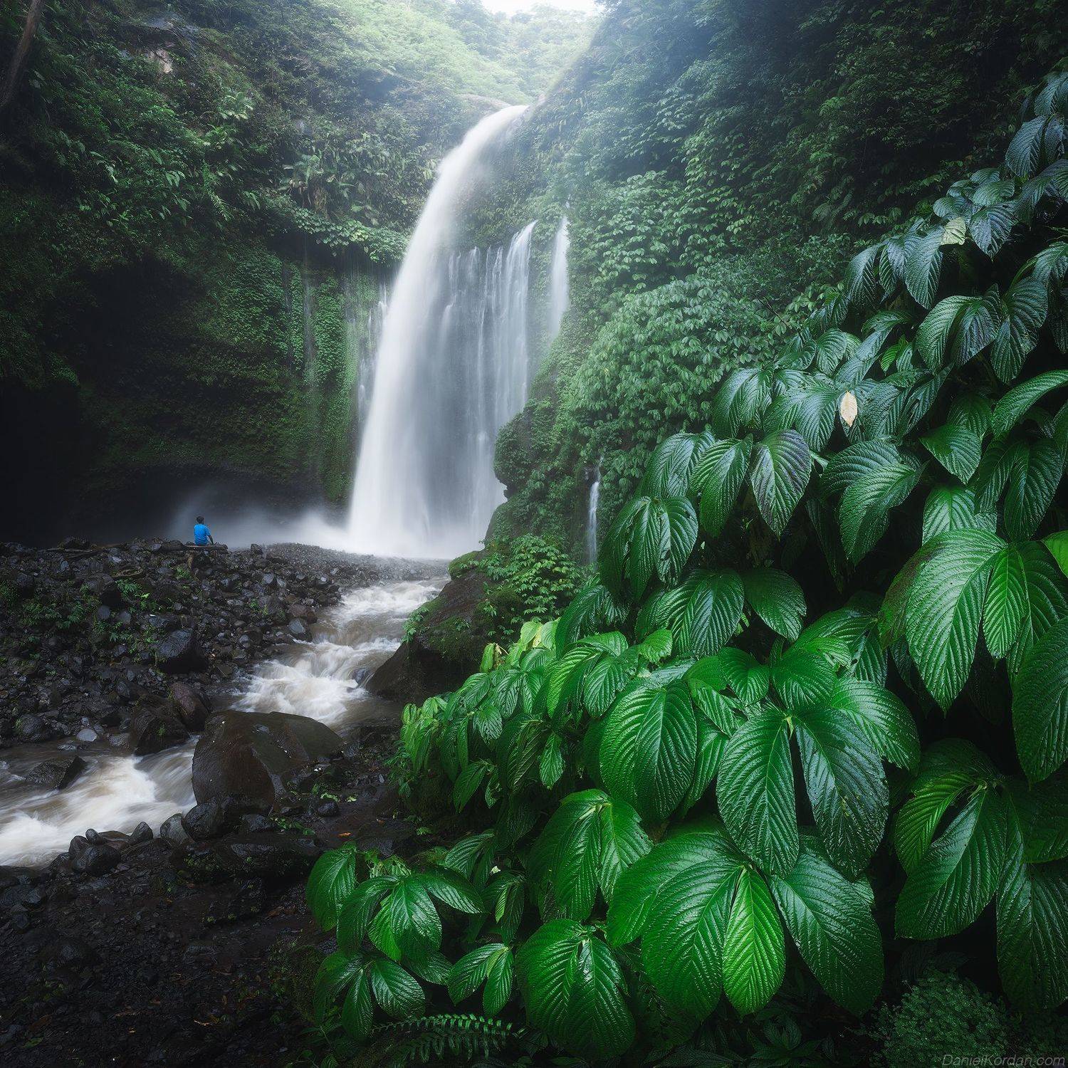 , Даниил Коржонов