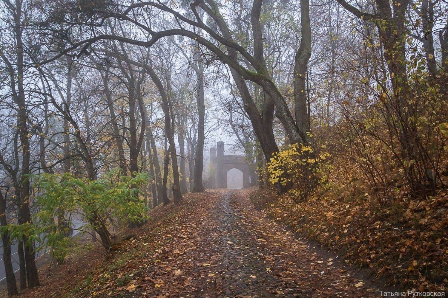 , Татьяна Рутковская