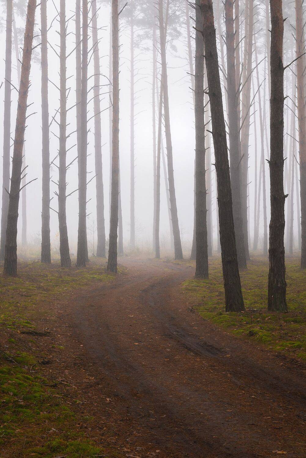 , Захаров Дмитрий