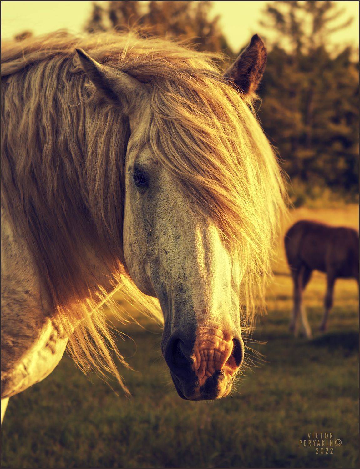 , Виктор Перякин