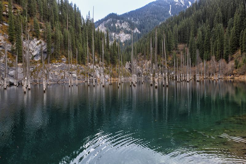 Озеро Каиынды. Казахстан фото превью