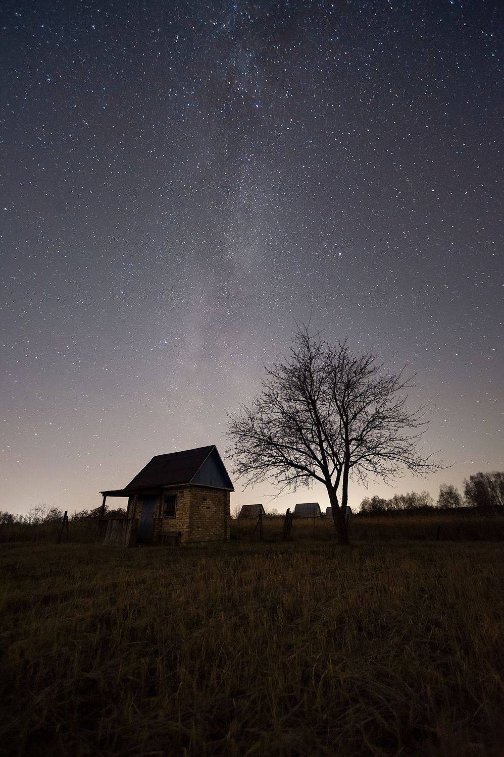 , Стрельцов Виталий