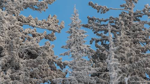 Шерегеш крупным планом