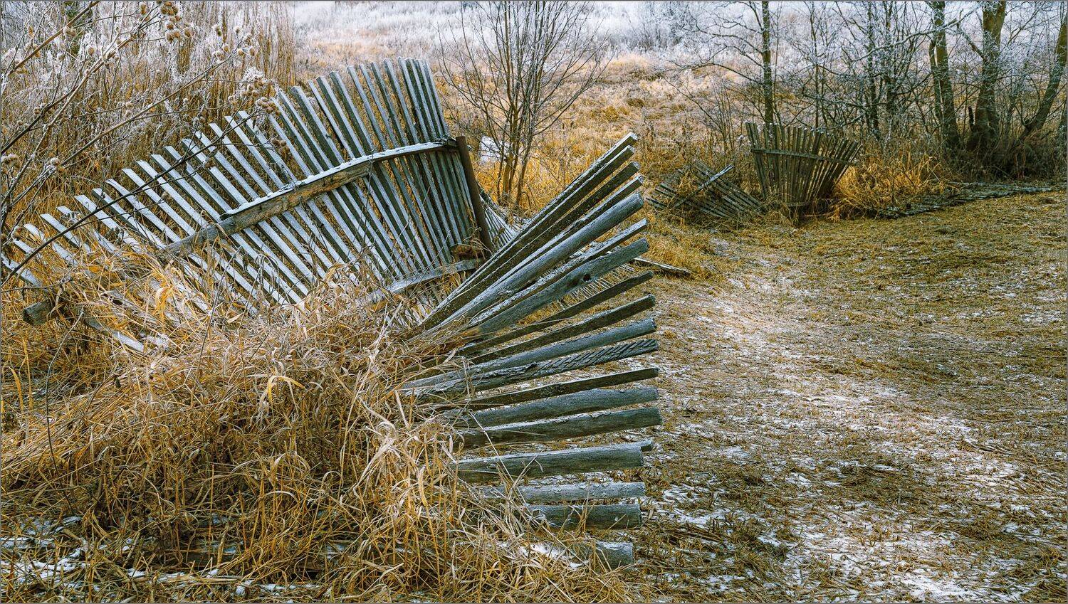 пейзаж, осень, забор, свет, цвет, александр никитинский, Никитинский Александр