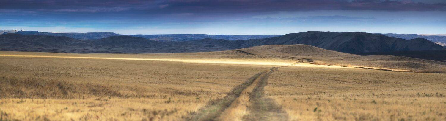 , Антонов Антон