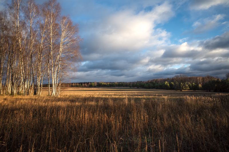 осенний пейзаж фото превью
