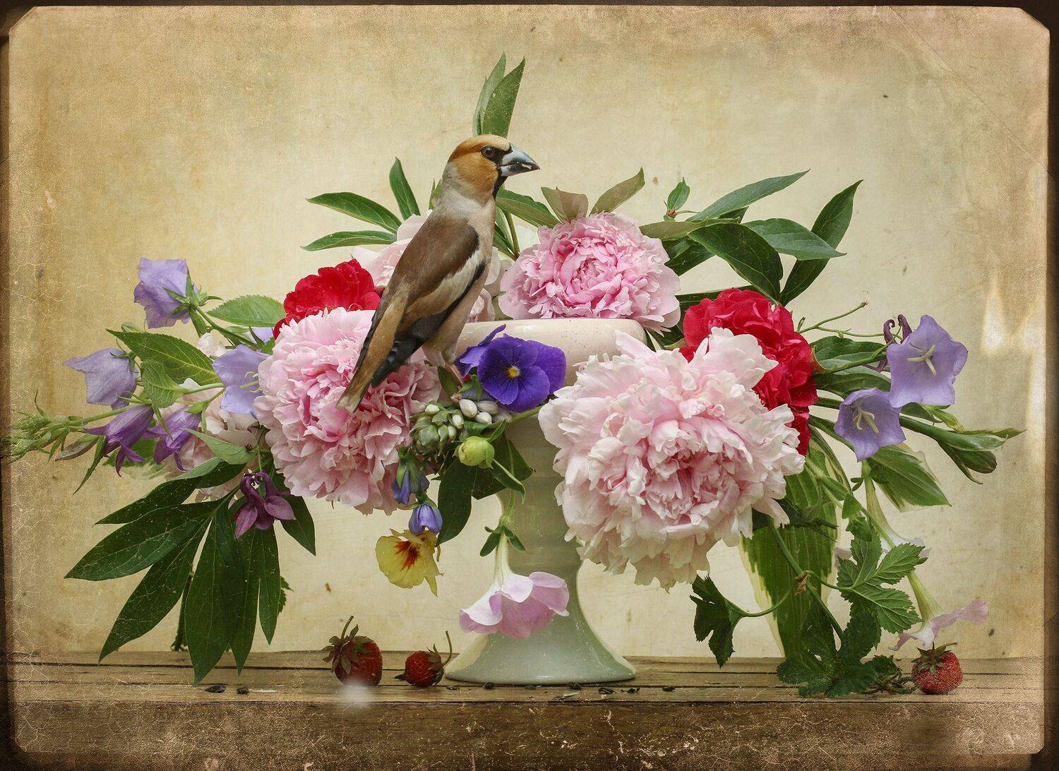 дубонос, Хромушин Олег