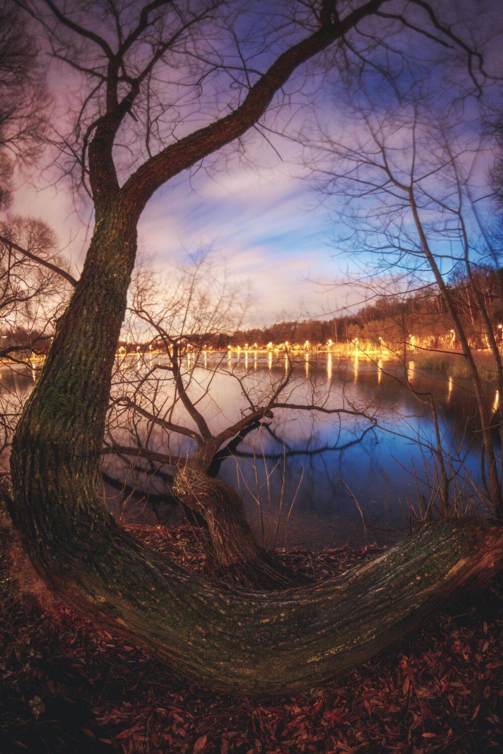 , Котов Андрей