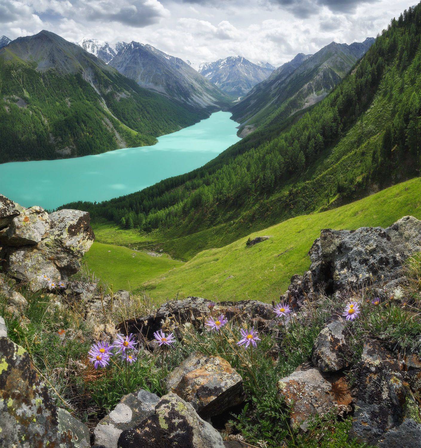 алтай, пейзаж, природа, озеро, горы, цветы, алтайские горы, кучерлинское озеро, landscape, mountain, hiking, blooming, flowers, summertime, travel, lake, Чаланов Иван