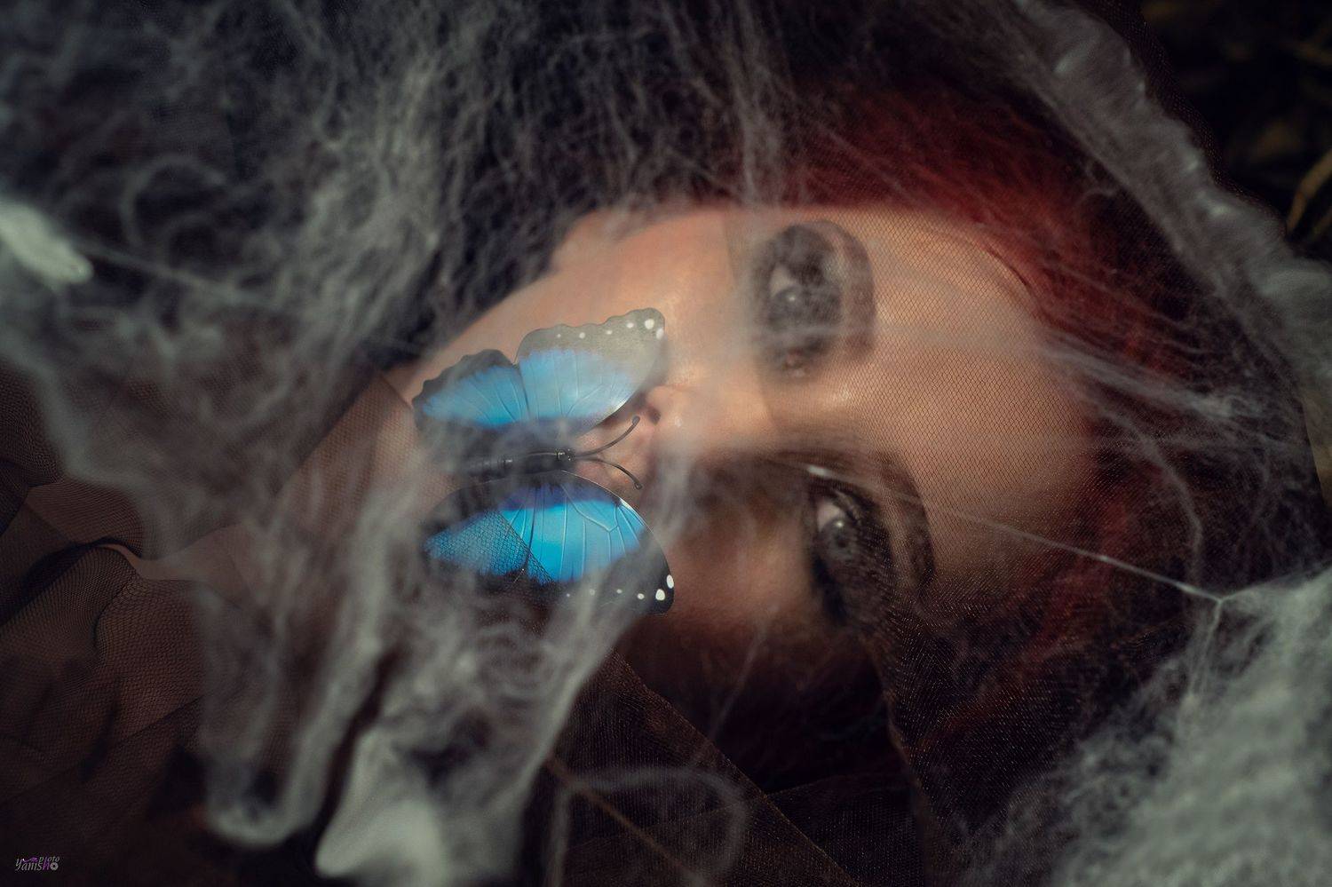мотылек, кокон, портрет, женщина, девушка, сказка, фентези, Янина Ермакова
