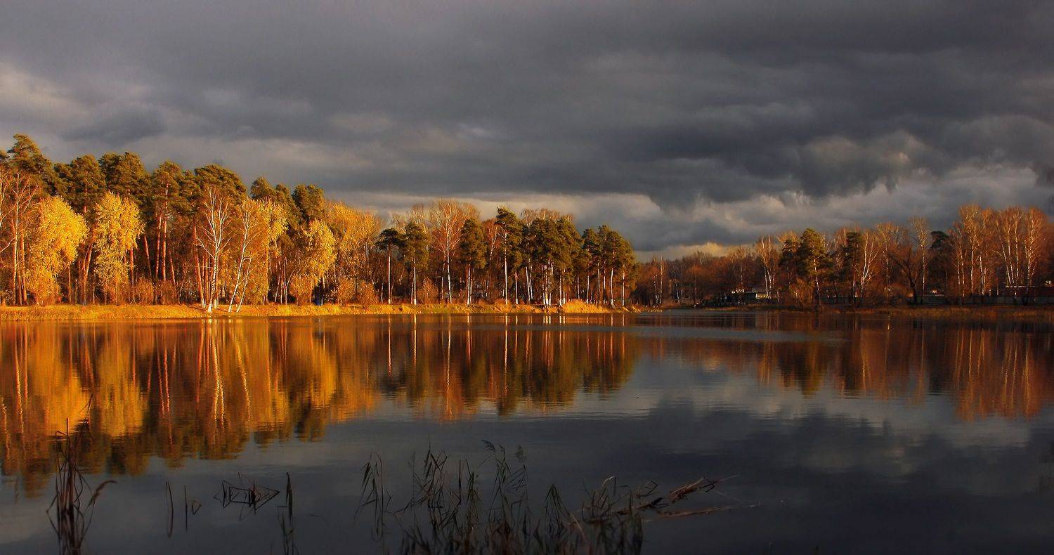 , Ольга Заболотская