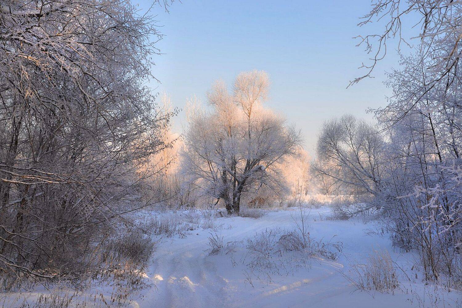 , Вадим Качанов