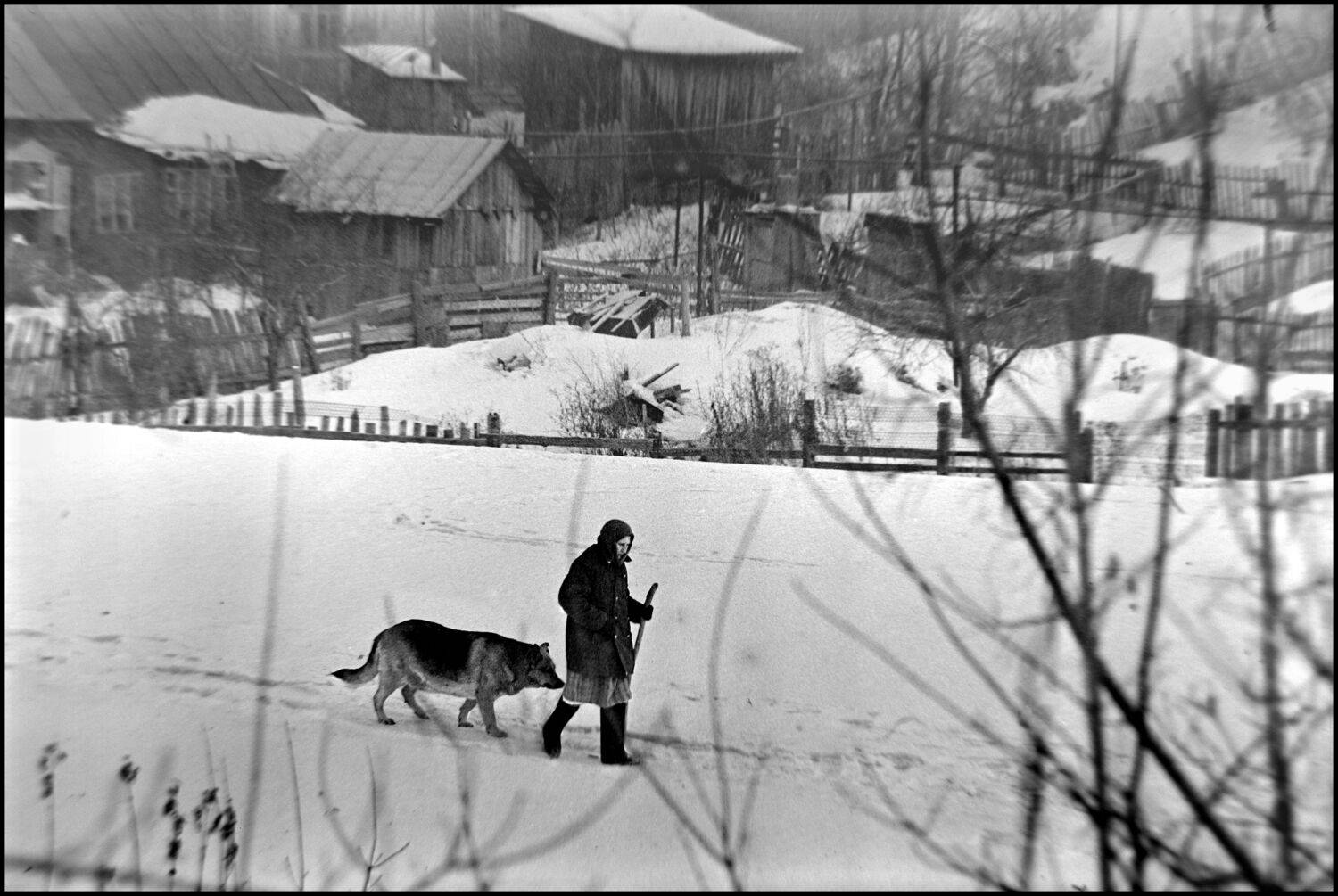 , Меднов Влад