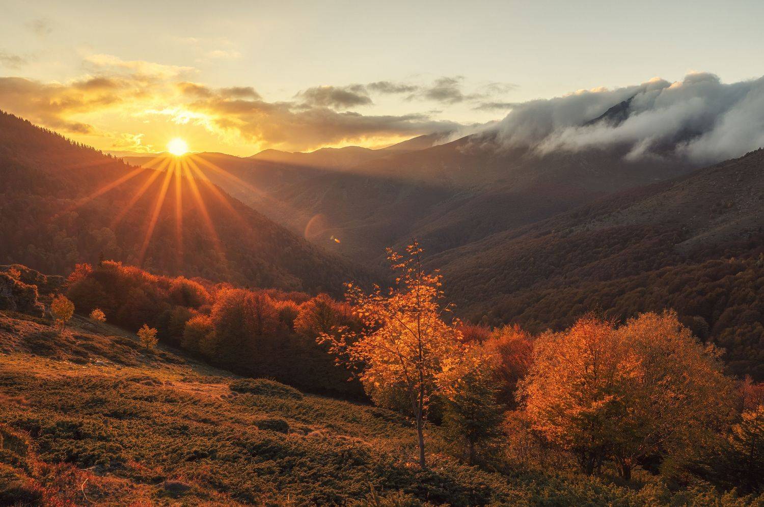 , Костадин Маджаров