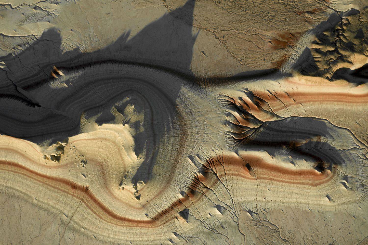 Казахстан, дрон, Максимушкина Анастасия