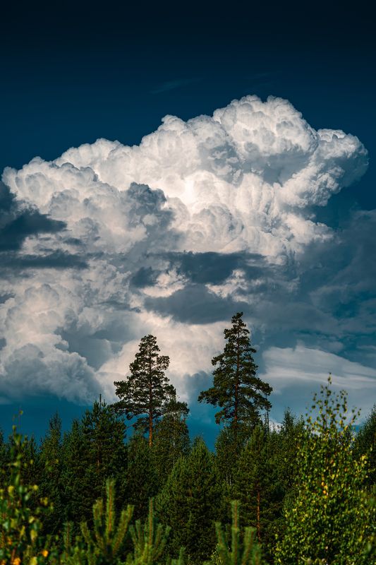 Пейзаж, утро, облака, Урал, лето, лес, красочно, Облачное утро фото превью