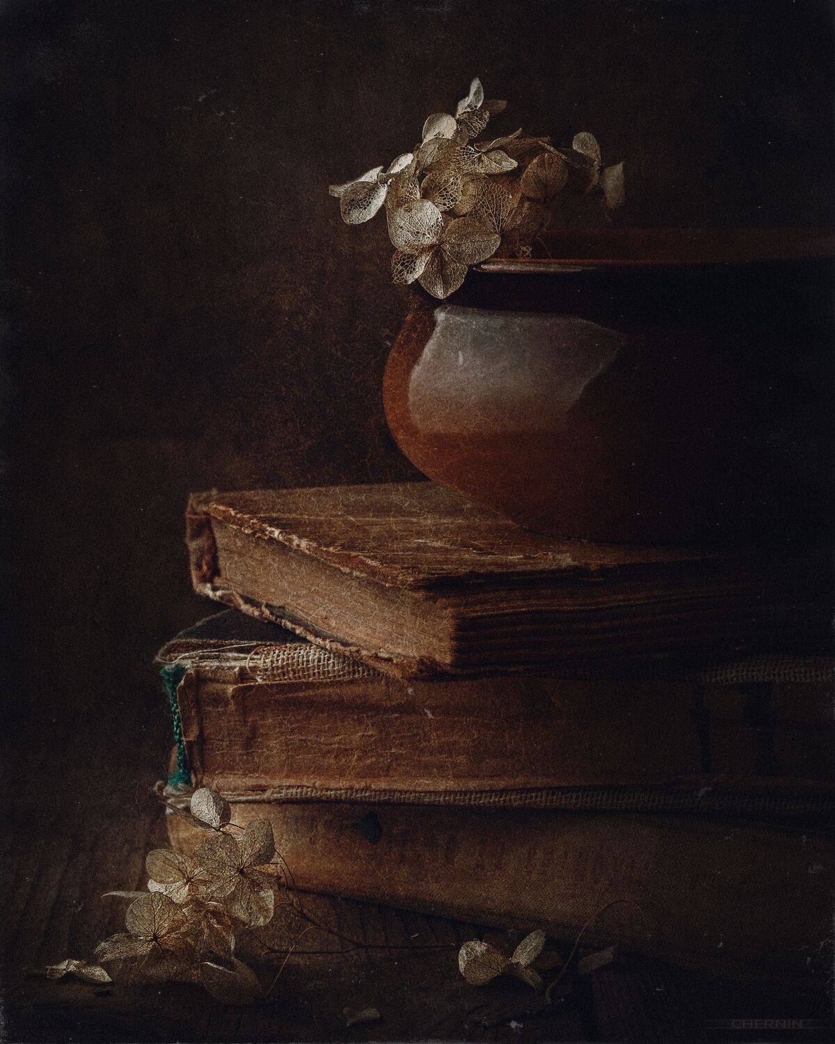 , Дмитрий Чернин