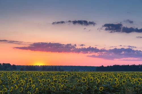 Солнце встает