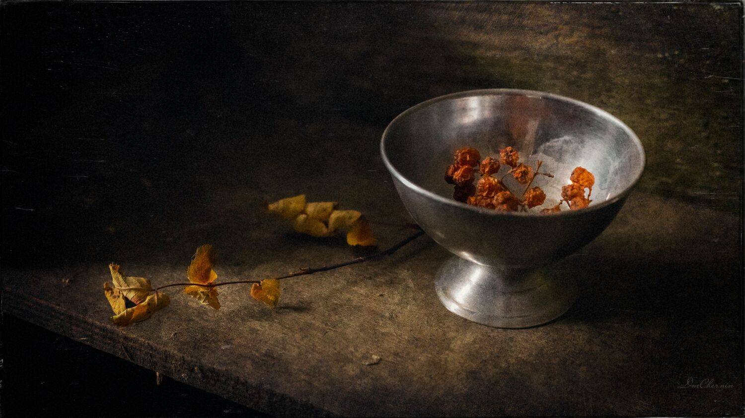 , Дмитрий Чернин