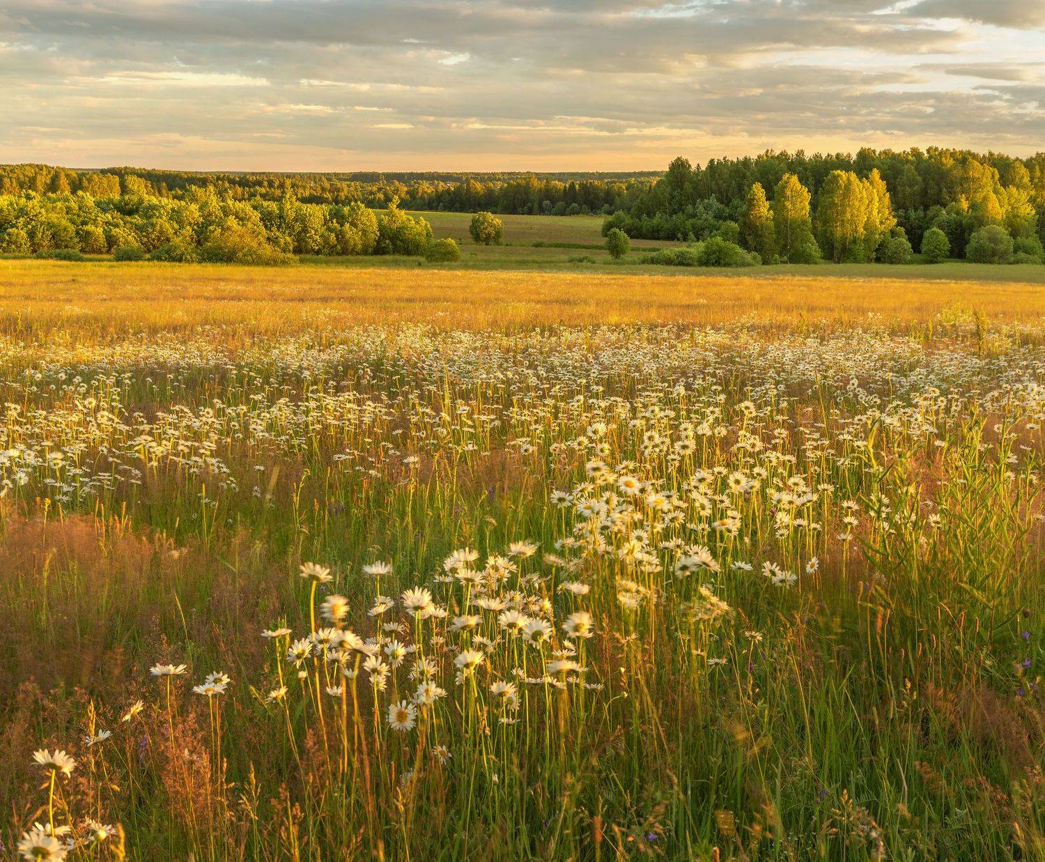 Фототуры с Владимиром Рябковым, #topnature #russpasibo #magic_shots #lovelyRussia #sunset_vision #exclusive_sky  #exclusive_shots #loves_russia2 #photoarena_nature #nature_sultans #nature_perfection #rsa_sky #rsa_sunset #photorussia #rsa_naturepics #sunse, Владимир Рябков