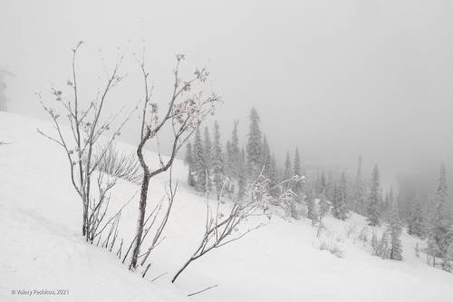 Пасмурный Шерегеш