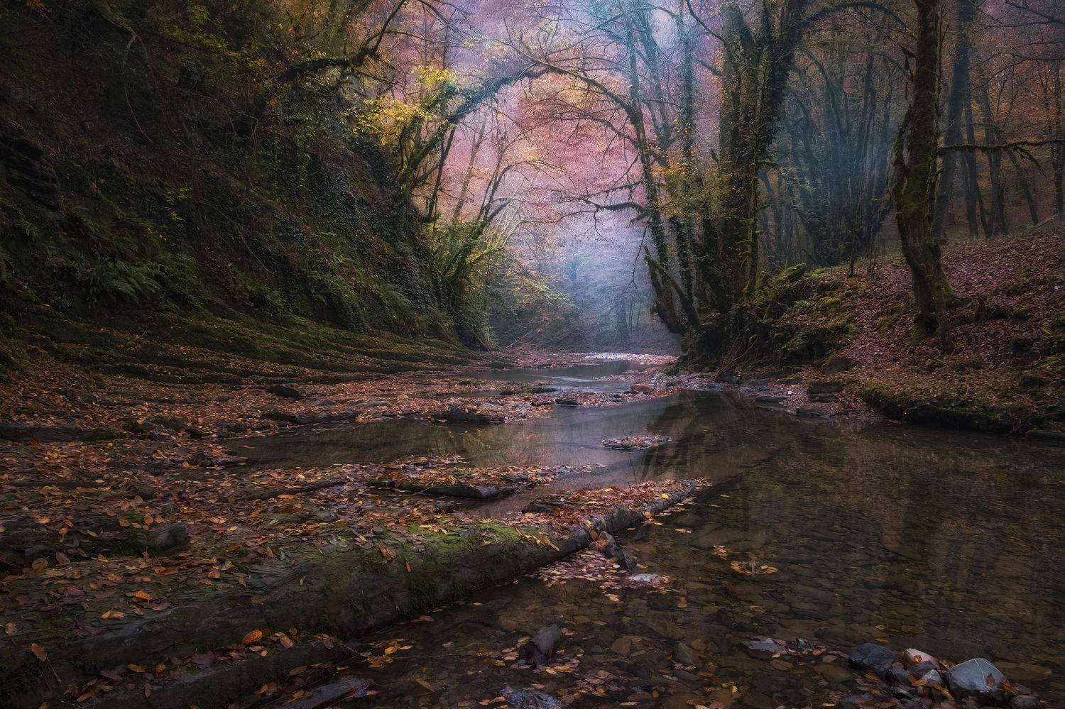 , Светлана Краюшкина