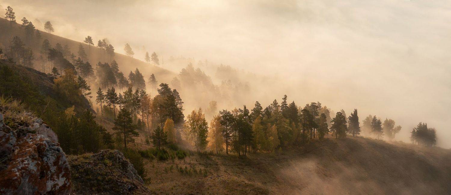 склон, осень,  торгашинский хребет, Марина Фомина