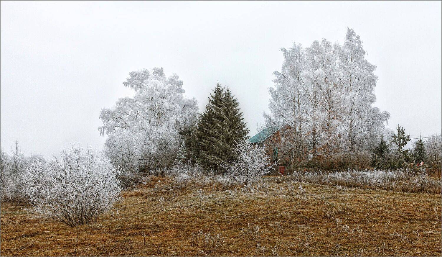 пейзаж, деревня, осень, свет, цвет, александр никитинский, Никитинский Александр